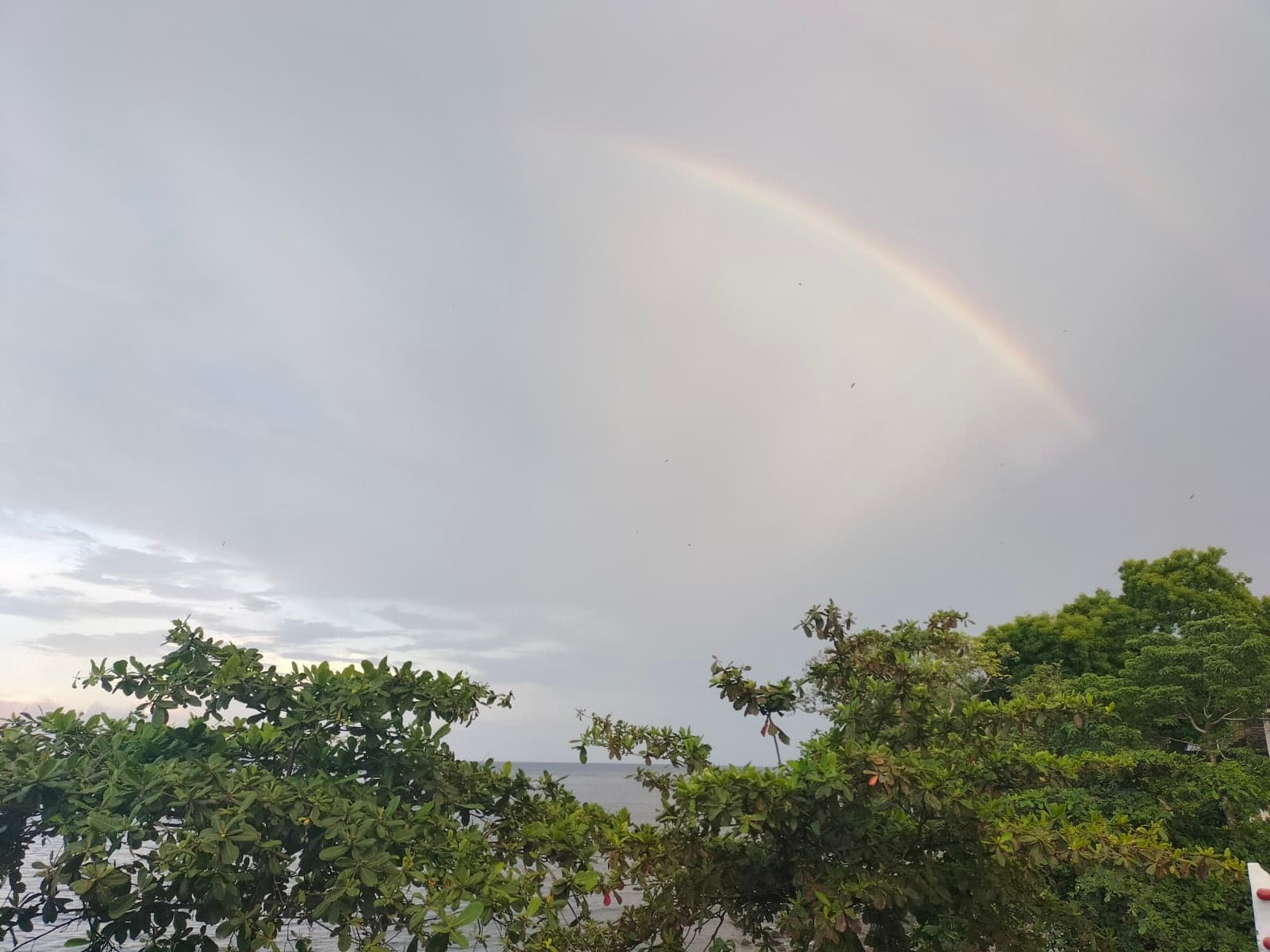 heavy weather photos