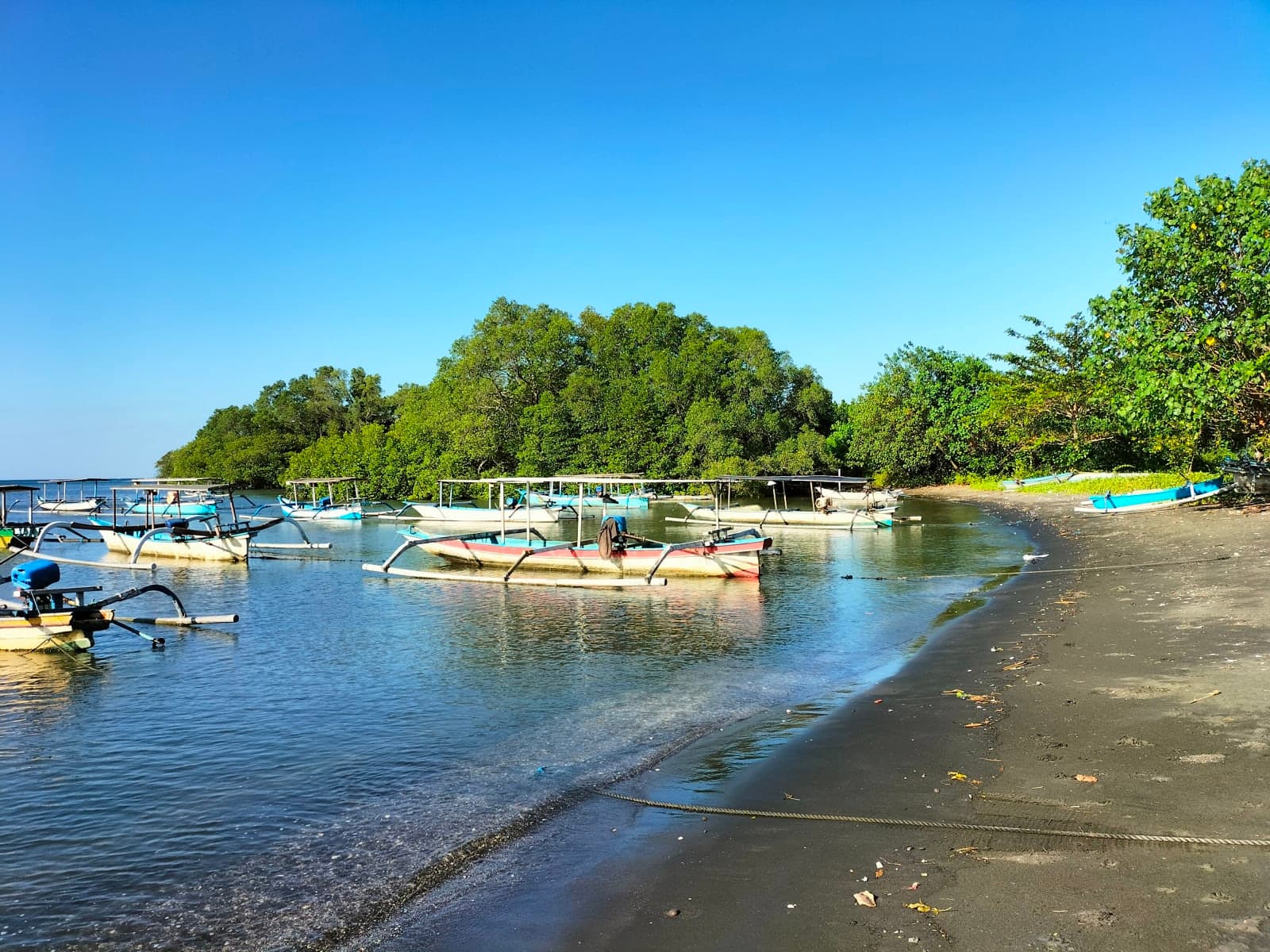 bay photos